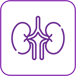 GÓI PHÁT HIỆN SỎI TIẾT NIỆU