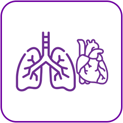 GÓI TẦM SOÁT TIM PHỔI
